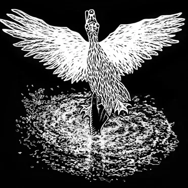 Witchduck