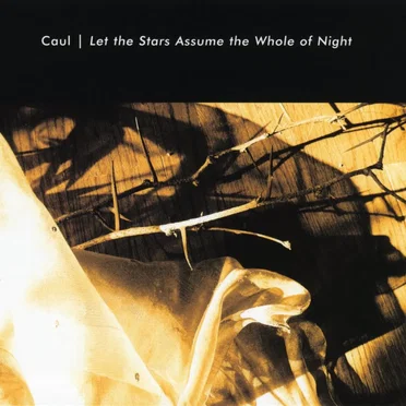 Let the Stars Assume the Whole of Night