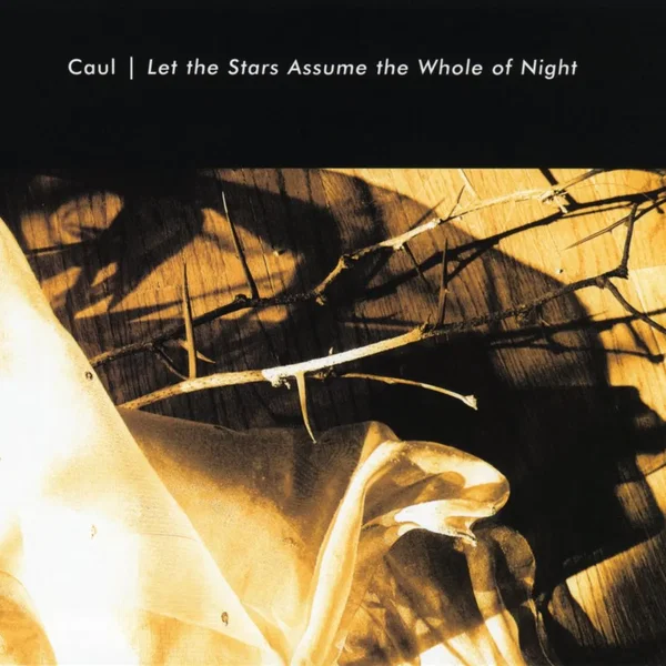 Let the Stars Assume the Whole of Night