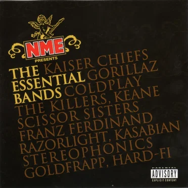 NME Presents: The Essential Bands by Various Artists - album cover
