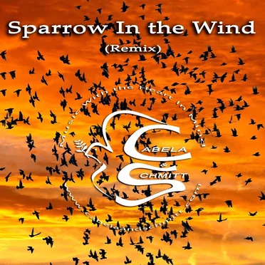 Sparrow in the Wind (remix)