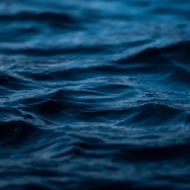 All Day I Dream About Water