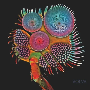 Volva by Echolot - album cover