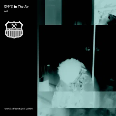 In the Air by zelll - album cover