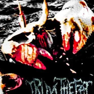 Bong Water + Full Blown by Caged Animal - album cover