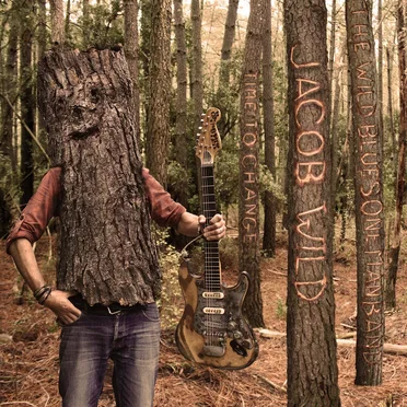 Time to Change by Jacob Wild - album cover