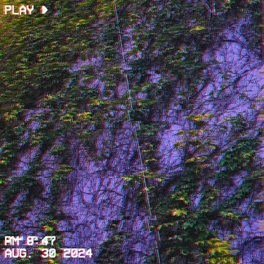 borostyán by .kalibrál - album cover