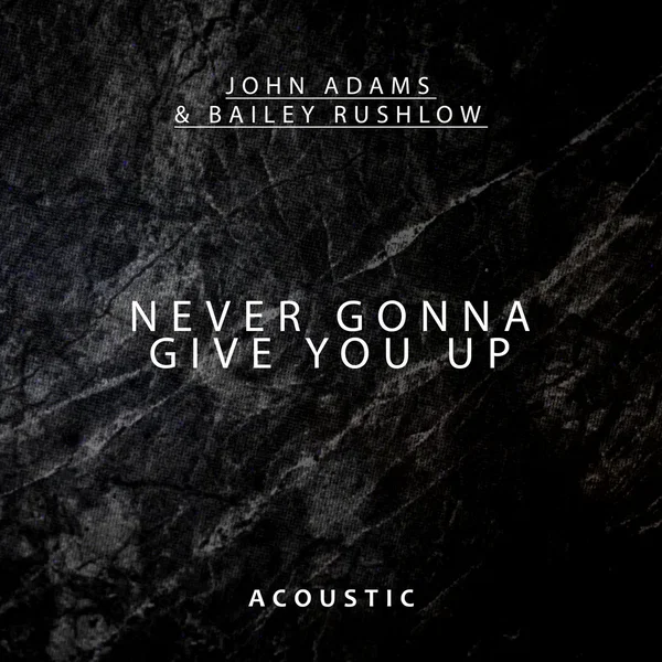 Never Gonna Give You Up (acoustic)