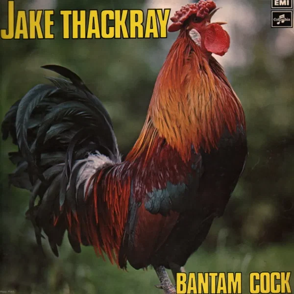 Bantam Cock