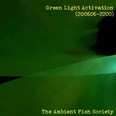 Green Light Activation (200606-2200)