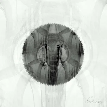 EXPEDITion, Vol. 3: Echoes