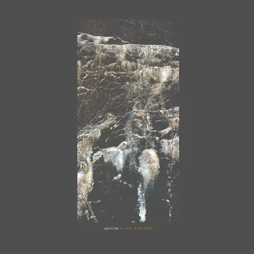 WRCT by Pyrithe - album cover