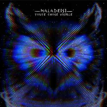 Toute Chose Visible by Malade[s] - album cover
