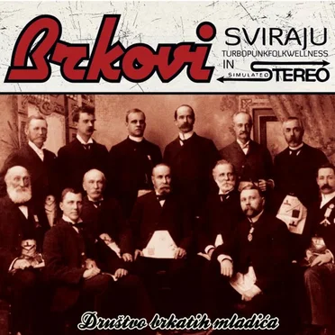 Društvo brkatih mladića