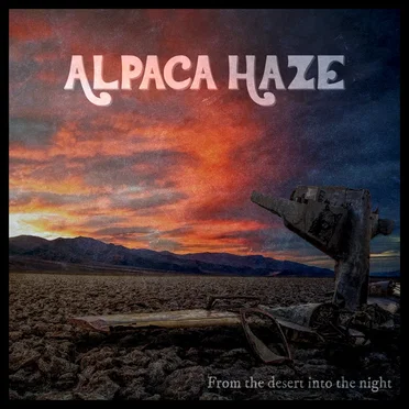 From the Desert Into the Night