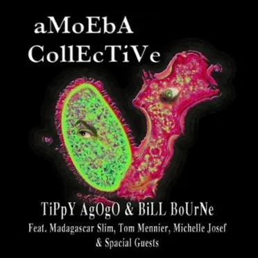 Amoeba Collective by Amoeba Collective - album cover