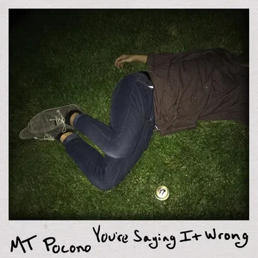 You’re Saying It Wrong by Mt. Pocono - album cover