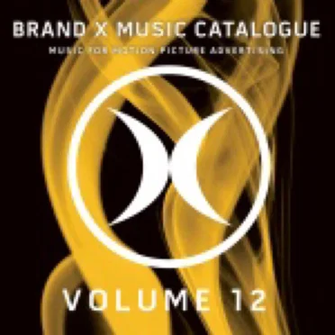 Volume 12 by Brand X Music - album cover