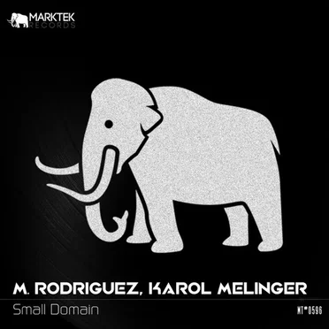 Small Domain by M. Rodriguez - album cover