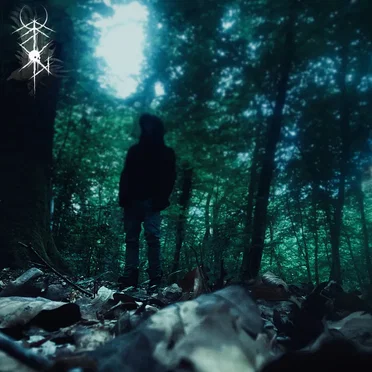 The Wanderer by The Cemetary Girlz - album cover