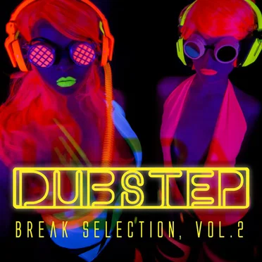 Dubstep Break Selection, Vol 2 by Various Artists - album cover