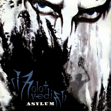 Asylum by Molot Vedim - album cover
