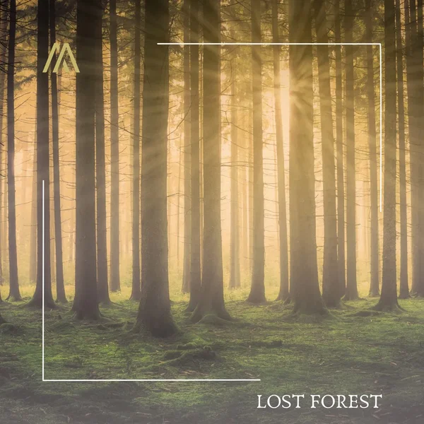 Lost Forest