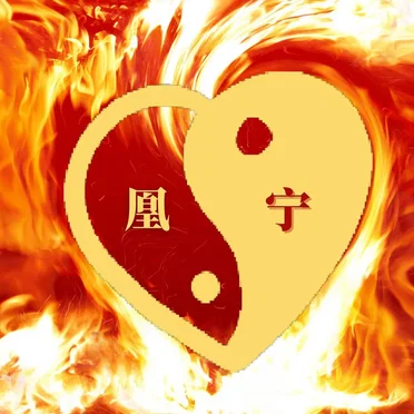 Burn Center by Phoenix Ning - album cover