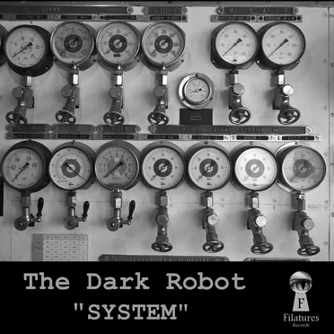 System