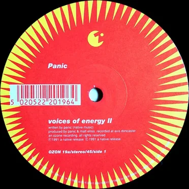 Voices Of Energy II by Panic - album cover