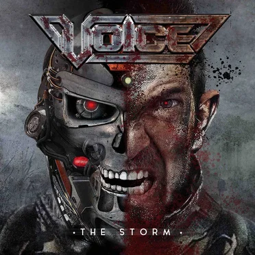 The Storm by Voice - album cover
