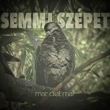 Semmi szépet by mar del mar - album cover