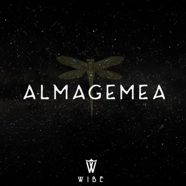 Alma Gêmea