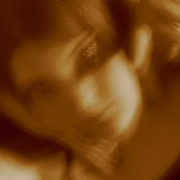 The Impulse by Rebecca Tripp - album cover