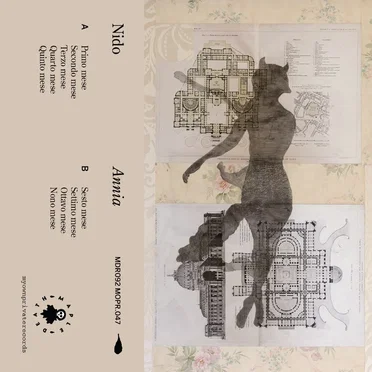 Annia by Nido - album cover