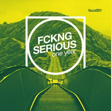 Fckng Serious - One Year by Various Artists - album cover