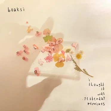 i thought it was yesterday (remixes)