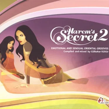 Harem's Secret Vol. 2 by Various Artists - album cover