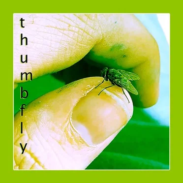 thumbfly