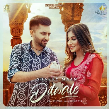 Dilwale by Sunny Vik - album cover