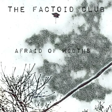 Afraid of Widths by The Factoid Club - album cover