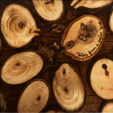 Tales from a poplar tree by Ösp - album cover