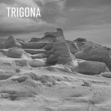 Trigona by Trigona - album cover