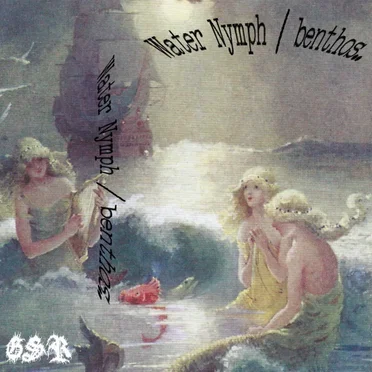 Water Nymph / Benthos.. Split