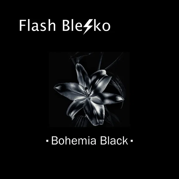 Bohemia Black