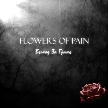 Выход за грань by Flowers of Pain - album cover