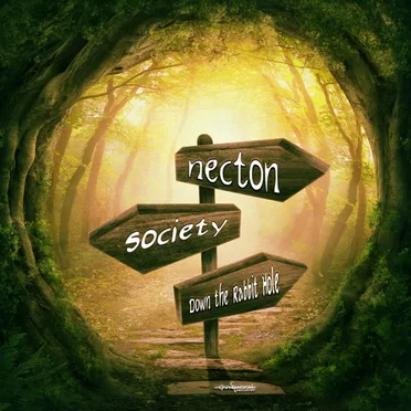 Down the Rabbit Hole by Necton - album cover