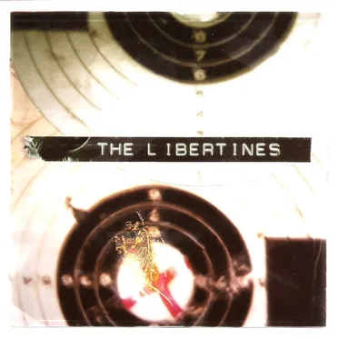 What a Waster by The Libertines - album cover