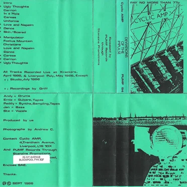 Deviations Of The Impulse by Cyclic Amp - album cover