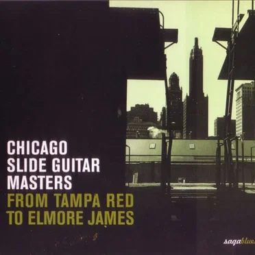 Chicago Slide Guitar Masters: From Tampa Red to Elmore James by Various Artists - album cover